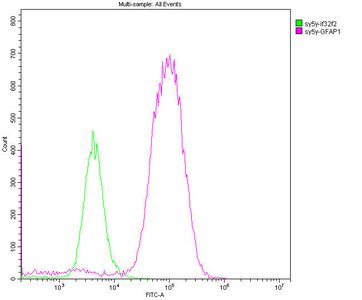 Mouse anti-Human/Mouse/Rat sapiens (Human) GFAP Monoclonal Antibody