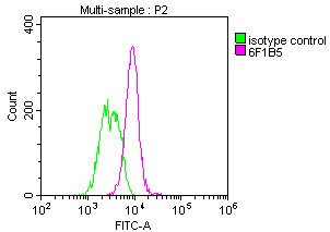 Mouse anti-Human sapiens (Human) GPC3 Monoclonal Antibody