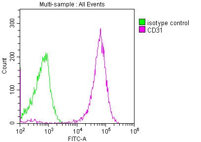 Mouse anti-Human sapiens (Human) PECAM1 Monoclonal Antibody