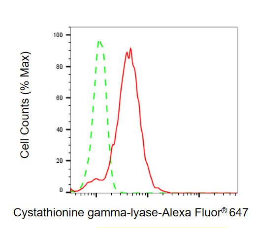 Mouse anti-Human/Rat sapiens (Human) CTH Monoclonal Antibody