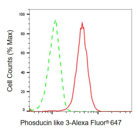 Mouse anti-Human sapiens (Human) PDCL3 Monoclonal Antibody