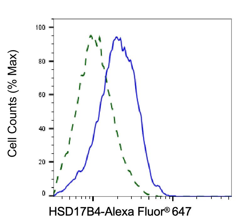 Mouse anti-Human/Mouse sapiens (Human) HSD17B4 Monoclonal Antibody