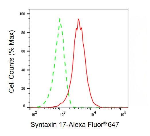 Mouse anti-Human/Rat sapiens (Human) STX17 Monoclonal Antibody