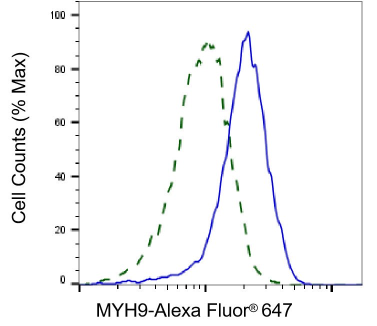 Mouse anti-Human sapiens (Human) MYH9 Monoclonal Antibody