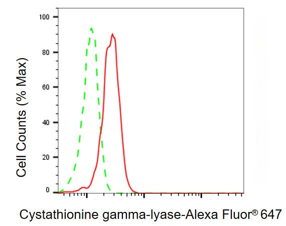 Mouse anti-Human/Mouse sapiens (Human) CTH Monoclonal Antibody