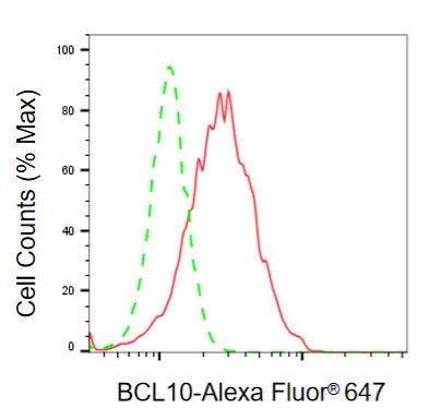 Mouse anti-Human/Mouse/Rat sapiens (Human) BCL10 Monoclonal Antibody