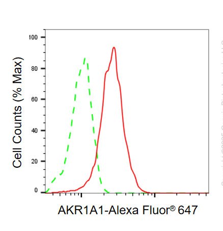 Mouse anti-Human/Mouse sapiens (Human) AKR1A1 Monoclonal Antibody