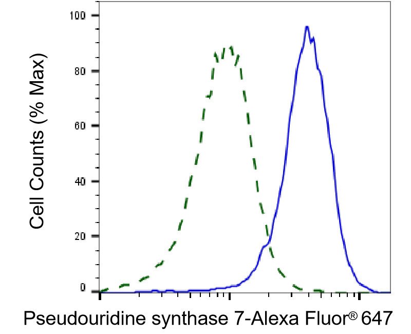 Mouse anti-Human sapiens (Human) PUS7 Monoclonal Antibody