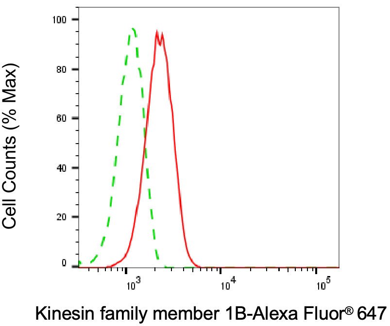 Mouse anti-Human/Mouse/Rat sapiens (Human) KIF1B Monoclonal Antibody