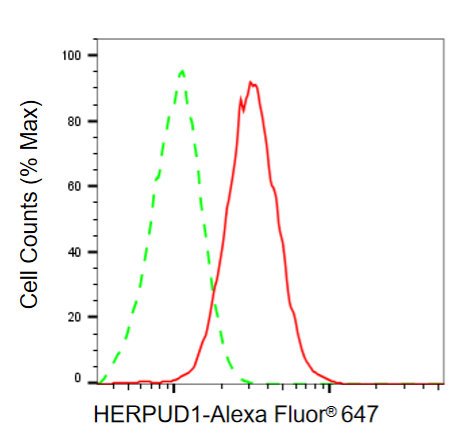 Mouse anti-Human/Mouse/Rat sapiens (Human) HERPUD1 Monoclonal Antibody