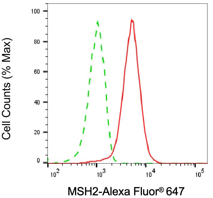 Mouse anti-Human sapiens (Human) MSH2 Monoclonal Antibody