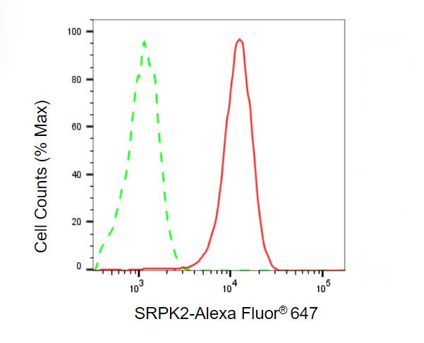 Mouse anti-Human/Rat sapiens (Human) SRPK2 Monoclonal Antibody