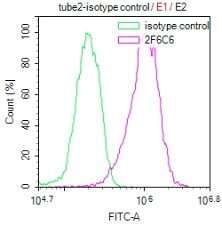 Mouse anti-Human/Mouse sapiens (Human) NFE2L2 Monoclonal Antibody