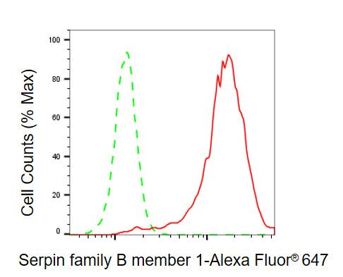 Mouse anti-Human sapiens (Human) SERPINB1 Monoclonal Antibody