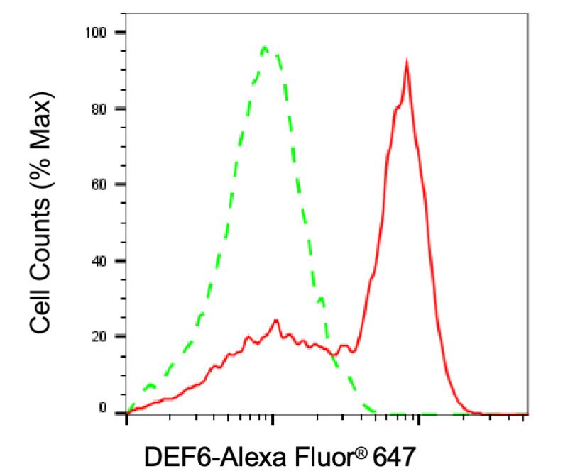Mouse anti-Human/Mouse/Rat sapiens (Human) DEF6 Monoclonal Antibody