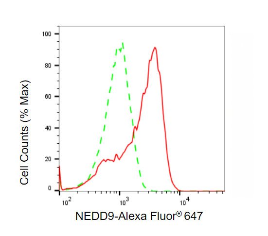 Mouse anti-Human/Mouse/Rat sapiens (Human) NEDD9 Monoclonal Antibody
