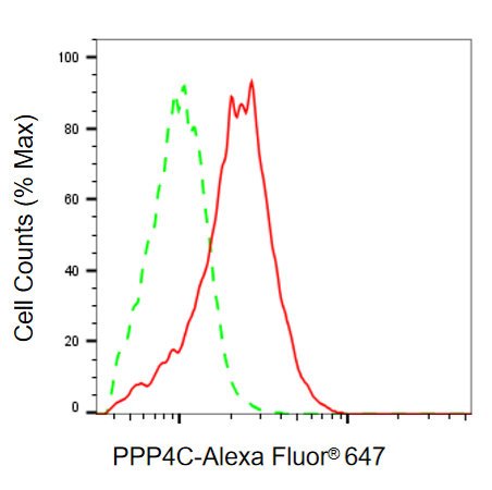 Mouse anti-Human/Mouse/Rat sapiens (Human) PPP4C Monoclonal Antibody