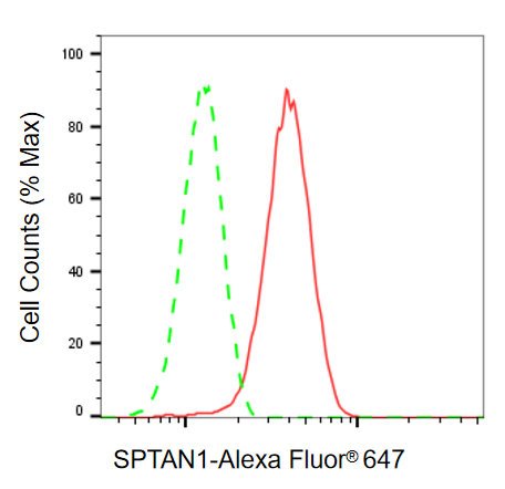 Mouse anti-Human/Mouse/Rat sapiens (Human) SPTAN1 Monoclonal Antibody