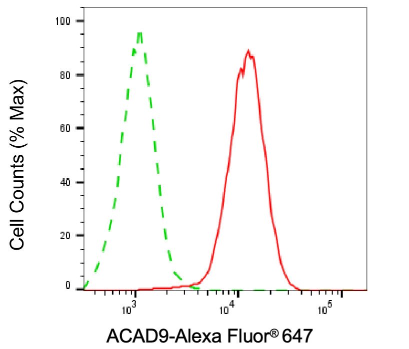 Mouse anti-Human/Mouse/Rat sapiens (Human) ACAD9 Monoclonal Antibody