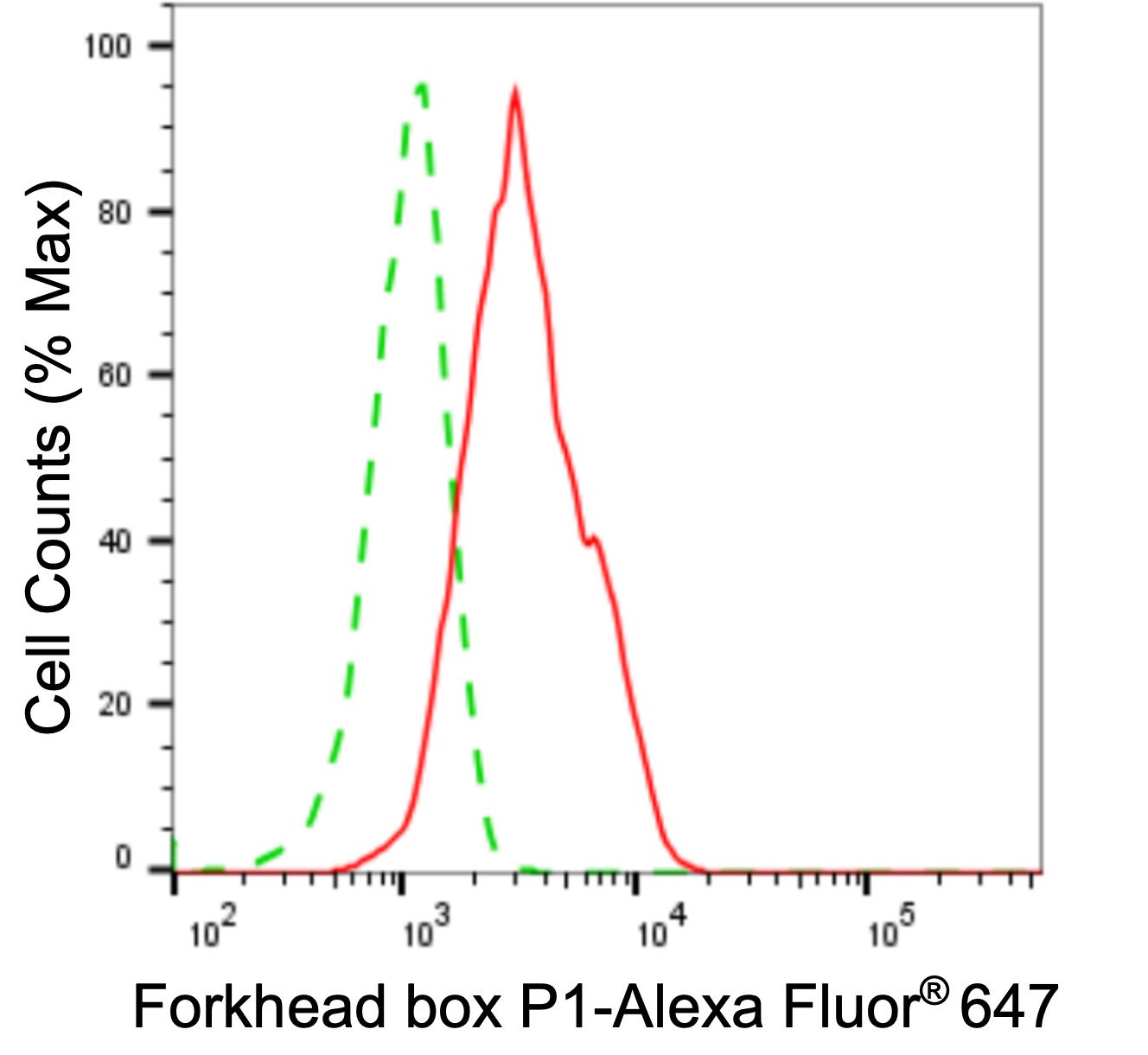 Mouse anti-Human sapiens (Human) FOXP1 Monoclonal Antibody