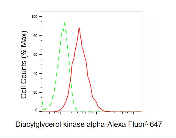 Mouse anti-Human sapiens (Human) DGKA Monoclonal Antibody