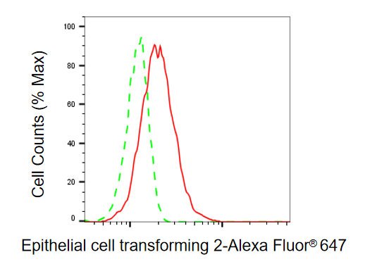 Mouse anti-Human sapiens (Human) ECT2 Monoclonal Antibody