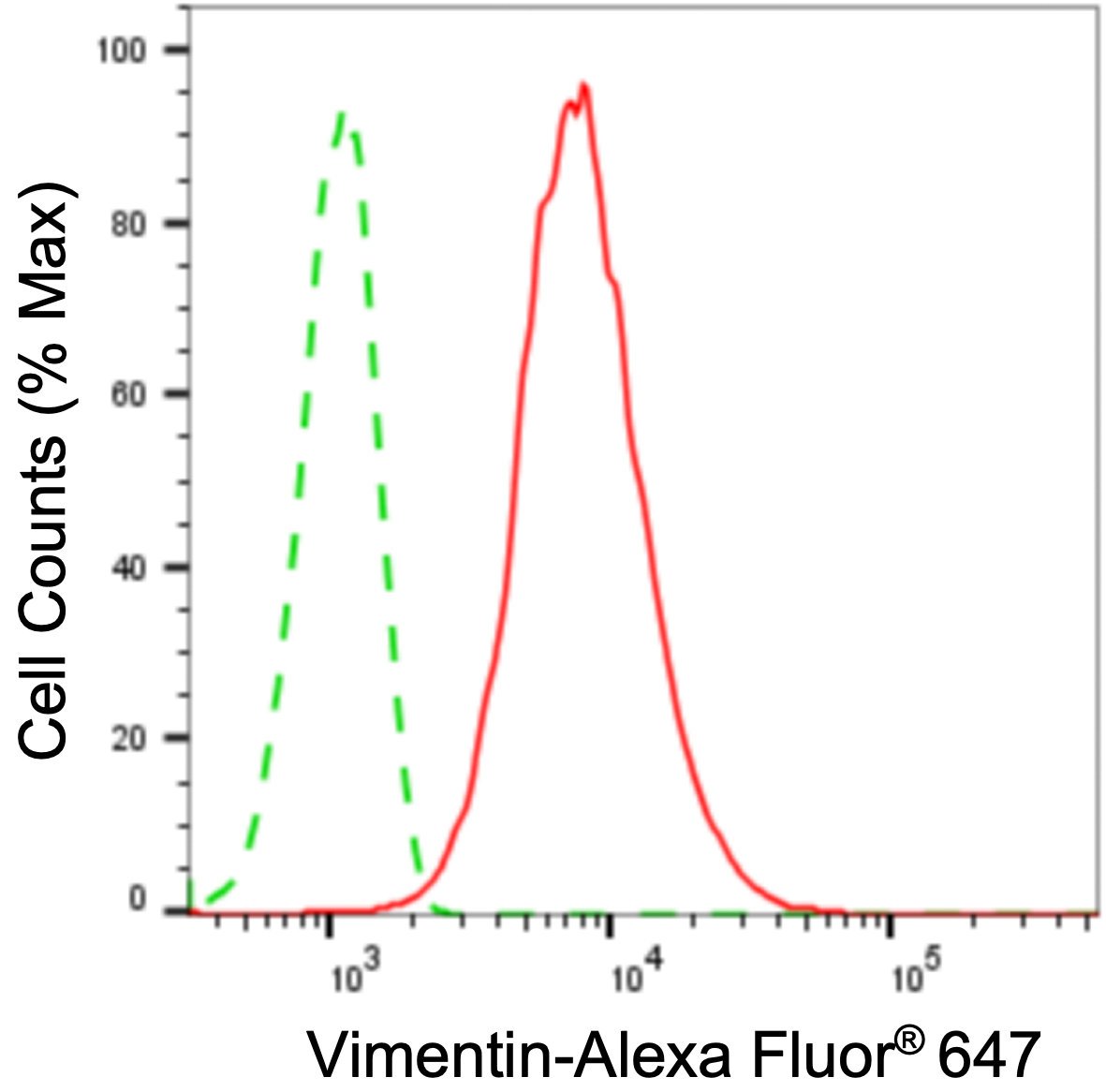Mouse anti-Human/Mouse/Rat sapiens (Human) VIM Monoclonal Antibody