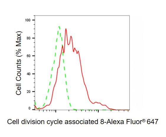 Mouse anti-Human sapiens (Human) CDCA8 Monoclonal Antibody