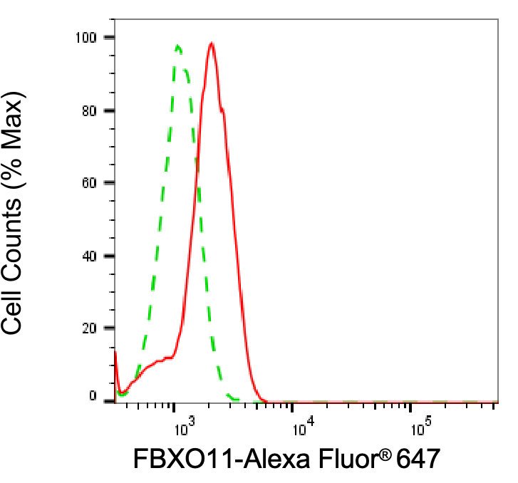 Mouse anti-Human/Mouse/Rat sapiens (Human) FBXO11 Monoclonal Antibody