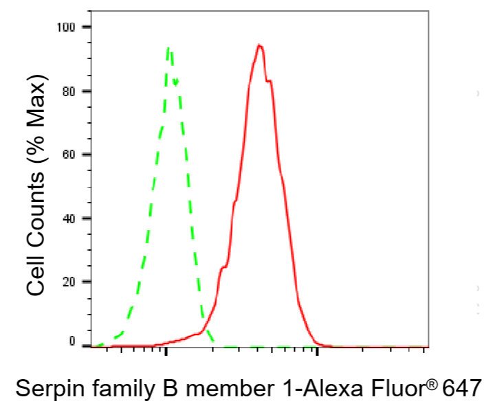 Mouse anti-Human sapiens (Human) SERPINB1 Monoclonal Antibody