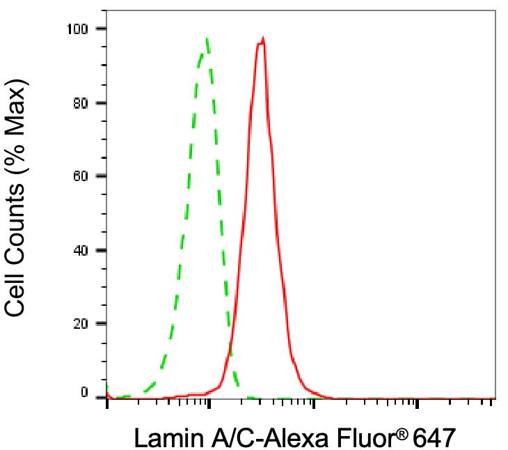 Mouse anti-Human/Mouse/Rat sapiens (Human) LMNA Monoclonal Antibody