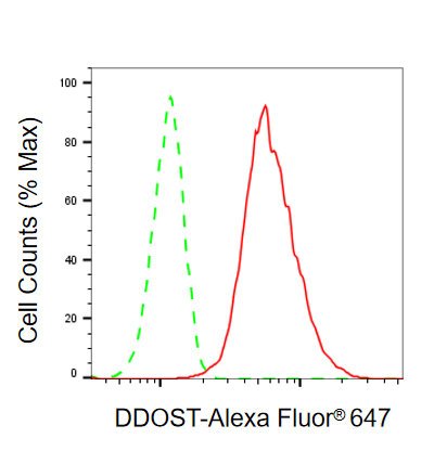 Mouse anti-Human/Mouse/Rat sapiens (Human) DDOST Monoclonal Antibody