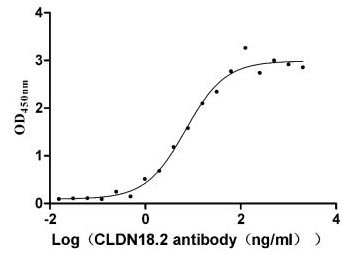 Recombinant Human ATP-dependent RNA helicase DDX19B (DDX19B) (Active), Homo sapiens (Human), E.coli, Tag type will be determined during the manufacturing process. The tag type will be determined during production process. If you have specified tag type, please tell us and we will develop the specified tag preferentially., 80.8 kDa, purity >85% as determined by SDS-PAGE.