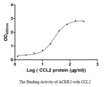Recombinant Human Atypical chemokine receptor 2 (ACKR2) (Active), Homo sapiens (Human), in vitro E.coli expression system, N-terminal 10xHis-tagged, 46.9 kDa, purity >85% as determined by SDS-PAGE.