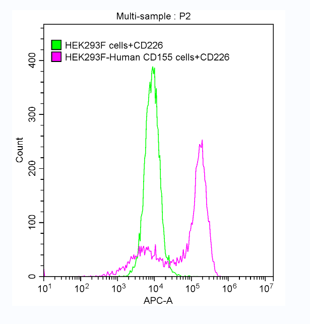 Recombinant Human Interleukin-15 protein (IL15), Homo sapiens (Human), E.Coli, Tag-Free, 12.9 kDa, purity >>97% as determined by SDS-PAGE.