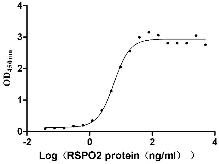 Recombinant Human interleukin-16 protein (IL16), partial (Active), Homo sapiens (Human), E.Coli, Tag-Free, 13.4 kDa, purity >>95% as determined by SDS-PAGE.