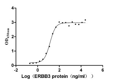 Recombinant Human Interleukin-3 protein (IL3)(P27S) (Active), Homo sapiens (Human), E.Coli, Tag-Free, 15.0 kDa, purity >>96% as determined by SDS-PAGE.
