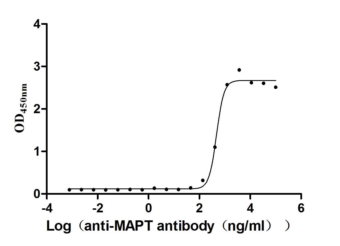 Recombinant Human Interleukin-36 alpha protein (IL36A), Homo sapiens (Human), E.Coli, Tag-Free, 17.7 kDa, purity >>95% as determined by SDS-PAGE.