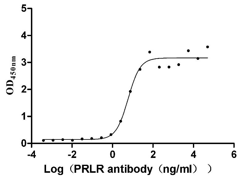 Recombinant Human Interleukin-36 beta (IL36B),Partial (Active), Homo sapiens (Human), E.Coli, Tag-Free, 17.2 kDa, purity >>97% as determined by SDS-PAGE.