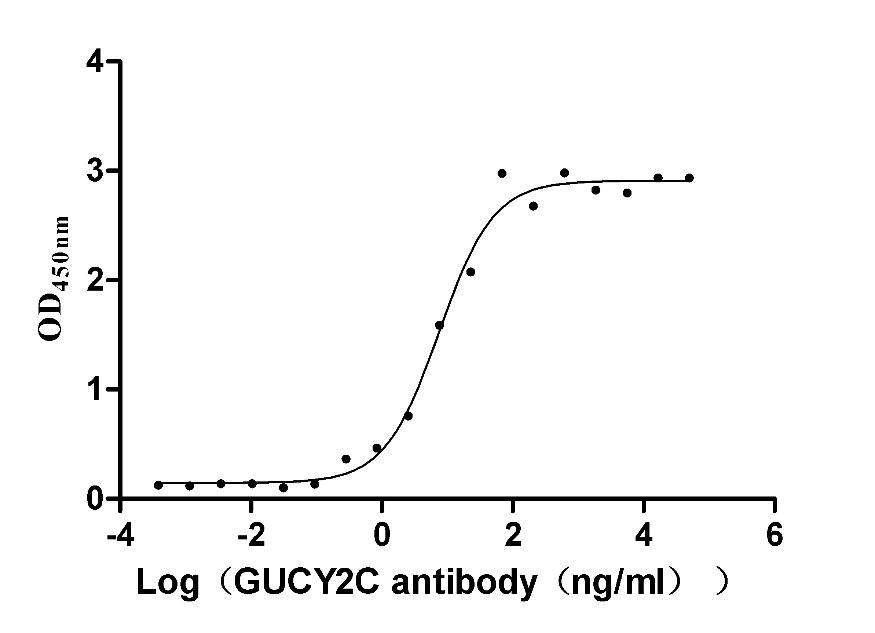 Recombinant Horse Interleukin-1 beta protein (IL1B), Equus caballus (Horse), E.Coli, Tag-Free, 17.3 kDa, purity >>95% as determined by SDS-PAGE.