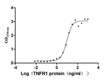 Recombinant Human C-C motif chemokine 15 protein (CCL15), Homo sapiens (Human), E.Coli, Tag-Free, 10.2 kDa, purity >>97% as determined by SDS-PAGE.