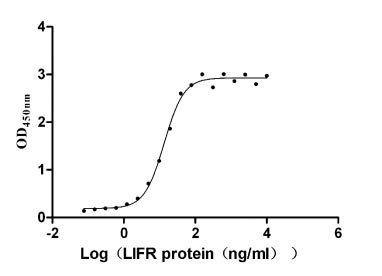 Recombinant Human C-C motif chemokine 24 protein (CCL24), partial (Active), Homo sapiens (Human), E.Coli, Tag-Free, 8.8 kDa, purity >>97% as determined by SDS-PAGE.