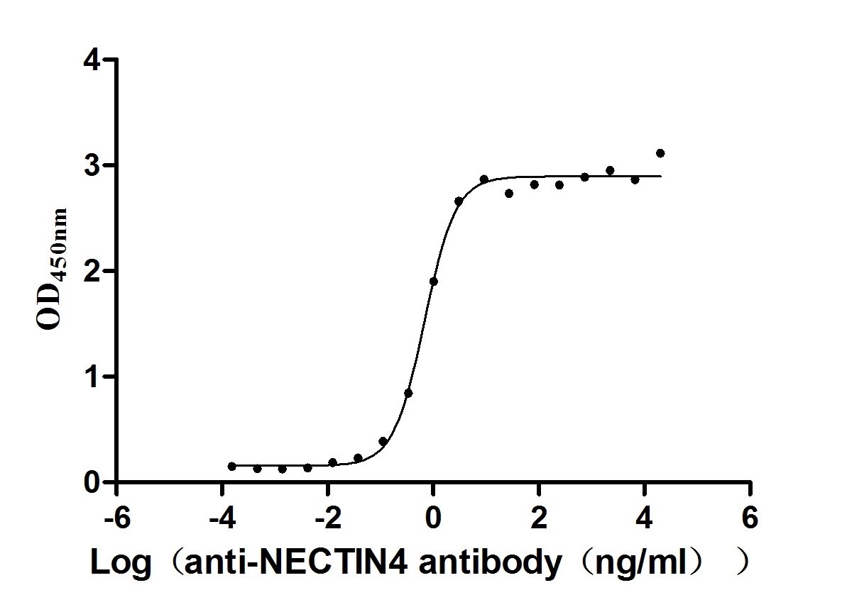 Recombinant Human Fms-related tyrosine kinase 3 ligand protein (FLT3LG), partial (Active), Homo sapiens (Human), E.Coli, Tag-Free, 17.6 kDa, purity >>97% as determined by SDS-PAGE.