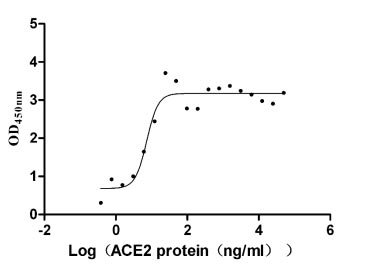 Recombinant Human Midkine protein (MDK), Homo sapiens (Human), E.Coli, Tag-Free, 13.4 kDa, purity >>97% as determined by SDS-PAGE.