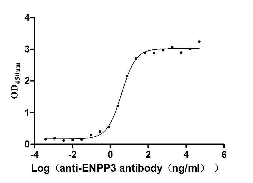 Recombinant Human Interferon lambda-1 protein (IFNL1), Homo sapiens (Human), E.Coli, Tag-Free, 19.8 kDa, purity >>97% as determined by SDS-PAGE.