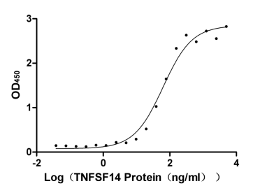 Recombinant Human Hepatocyte growth factor (HGF), partial (Active), Homo sapiens (Human), Mammalian cell, Tag free, 53.7 kDa ( α chain), 26 kDa ( β chain), purity >95% as determined by SDS-PAGE.