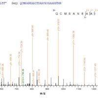 Vaccinia virus Protein A33 (VACWR156), partial Recombinant Protein - BioCrest Sci