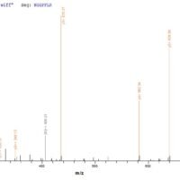 Human Fibroblast growth factor 2 (FGF2) Recombinant Protein - BioCrest Sci