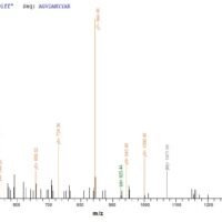 Staphylococcus aureus Zinc metalloproteinase aureolysin (aur) Recombinant Protein - BioCrest Sci