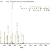 Recombinant Human ER membrane protein complex subunit 4 (EMC4) Protein - BioCrest Sci